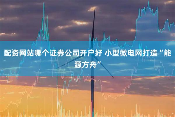配资网站哪个证券公司开户好 小型微电网打造“能源方舟”