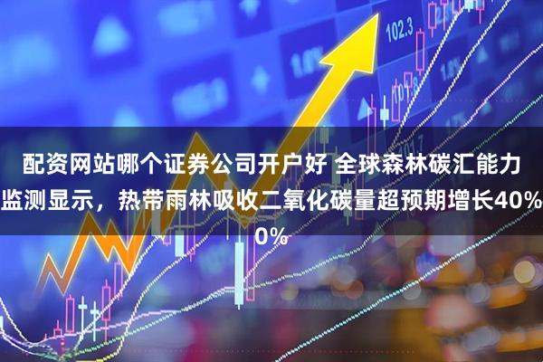 配资网站哪个证券公司开户好 全球森林碳汇能力监测显示，热带雨林吸收二氧化碳量超预期增长40%