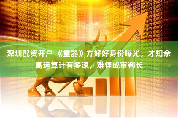 深圳配资开户 《重器》方好好身份曝光，才知余高远算计有多深，难怪成审判长
